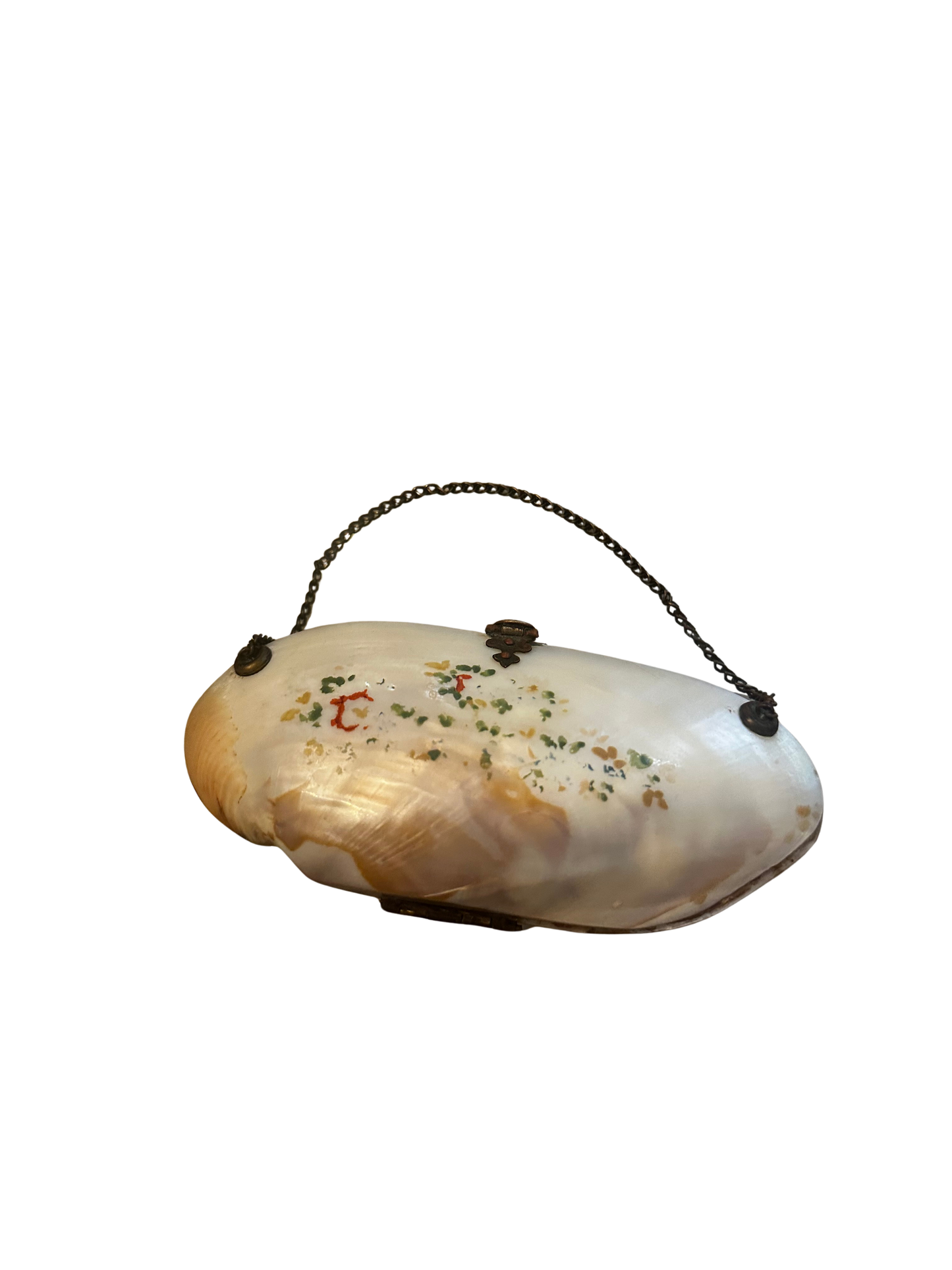 Victorian Mother-of-Pearl Shell Coin Purse with Hand-Painted Decoration and Chain Handle