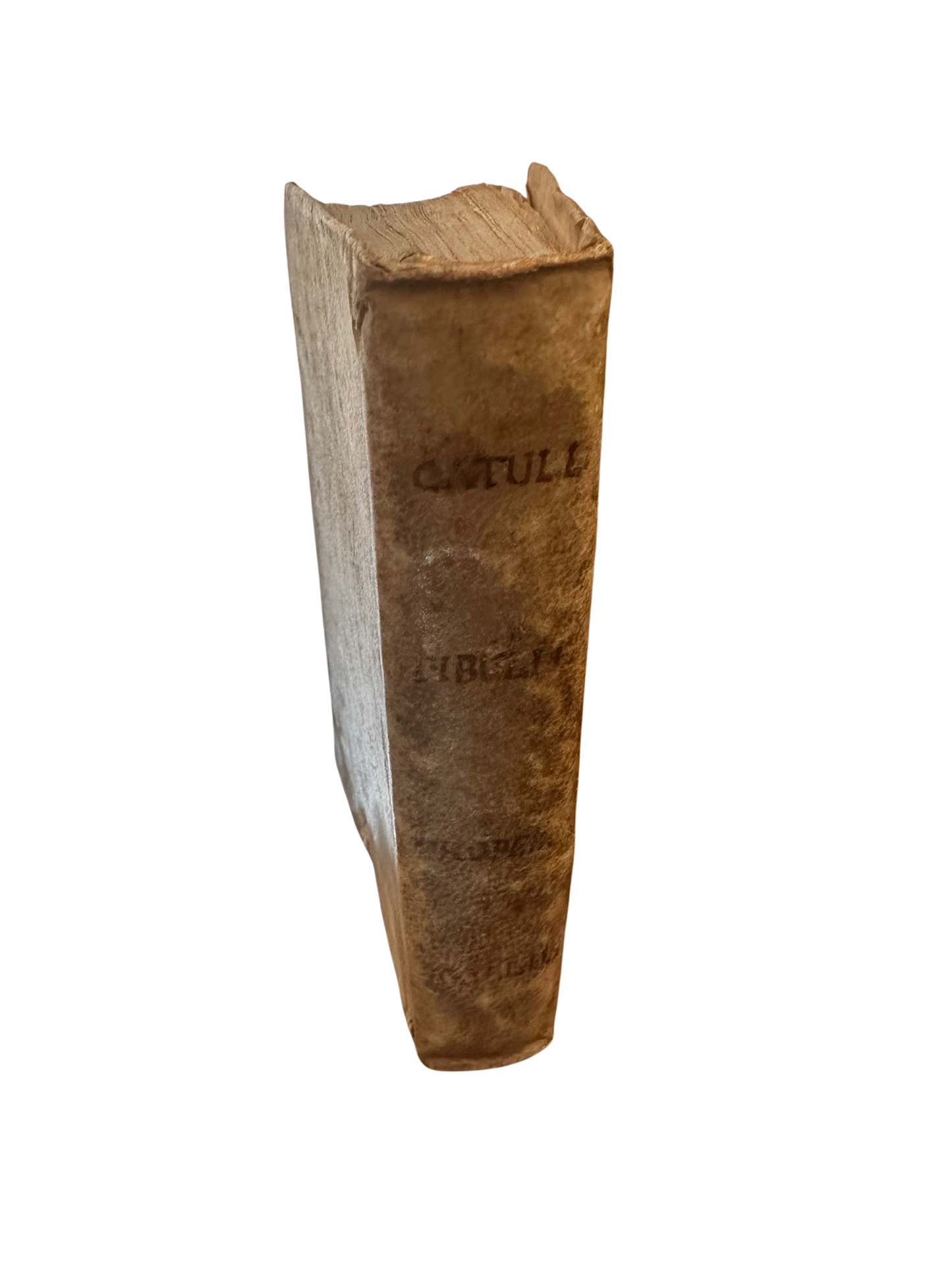 1616 Paris Vellum Edition of Catullus, Tibullus, Propertius, and Corn. Gall (Ex-Libris Remy Beaurieux Early 20th C)