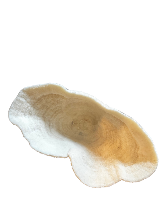Large White Mushroom Coral Bowl