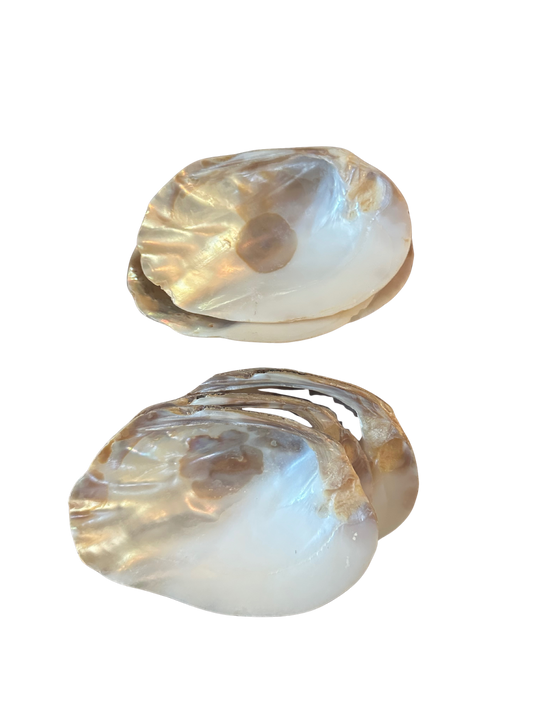Set of 6 Natural Mother of Pearl Shell Serving Dishes
