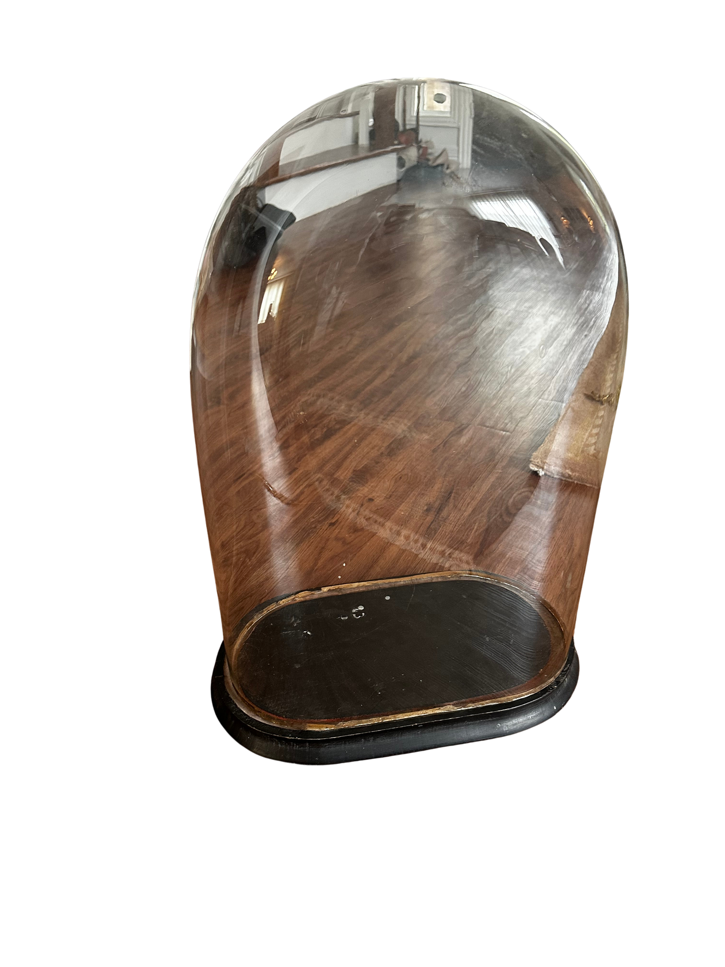19th C Large Oval Clock Cloche with Ebonized Base