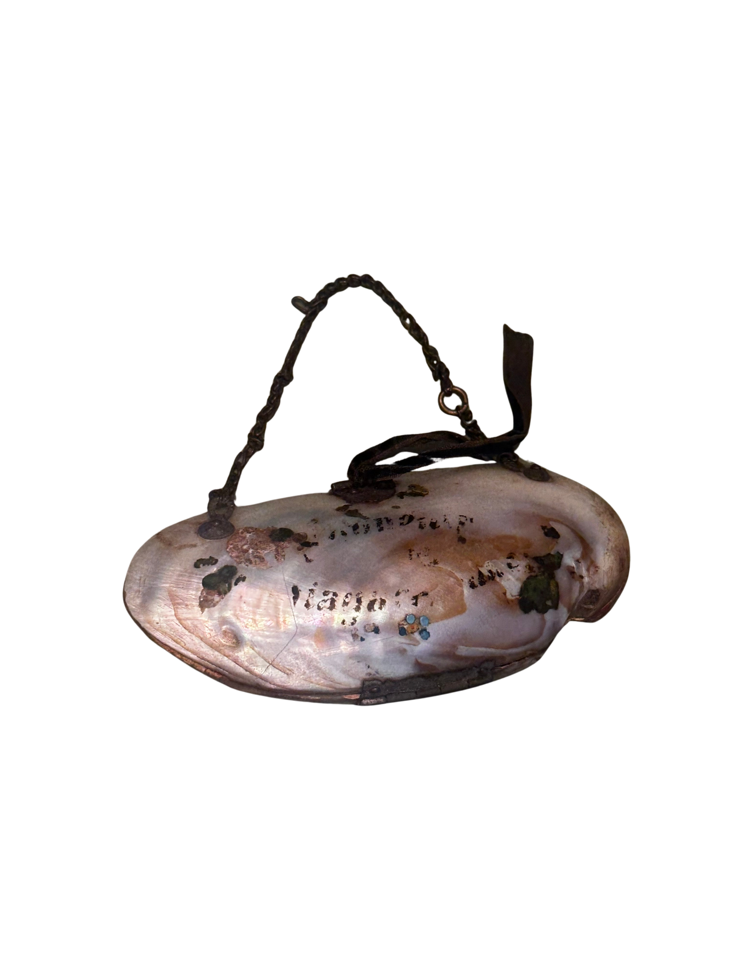 Souvenir Shell Coin Purse