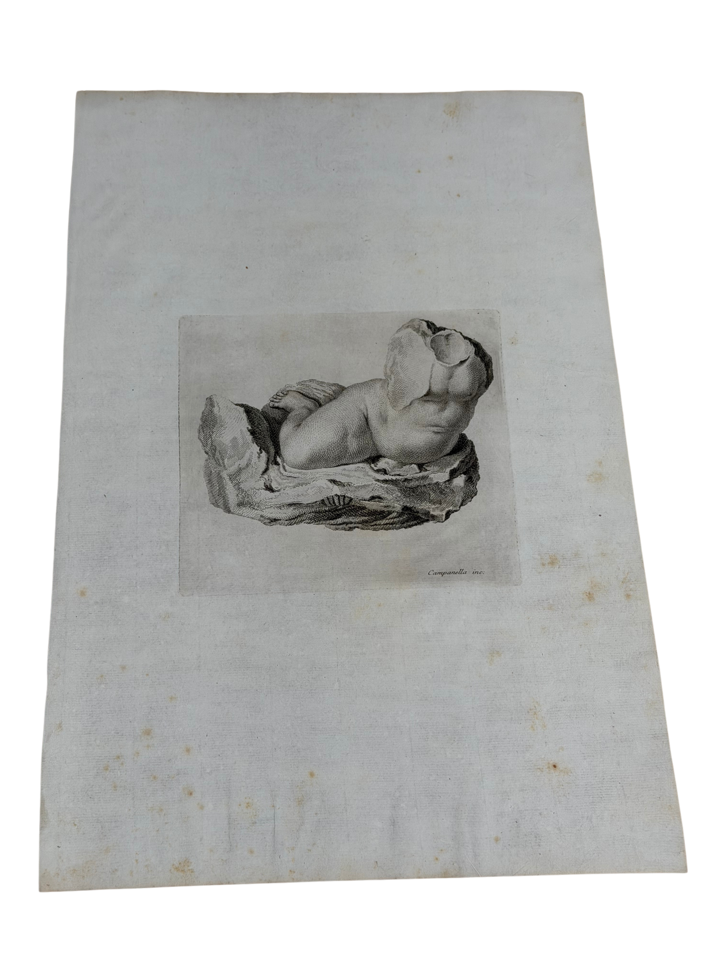 18th C Engraving - Campanella - Torso of Male