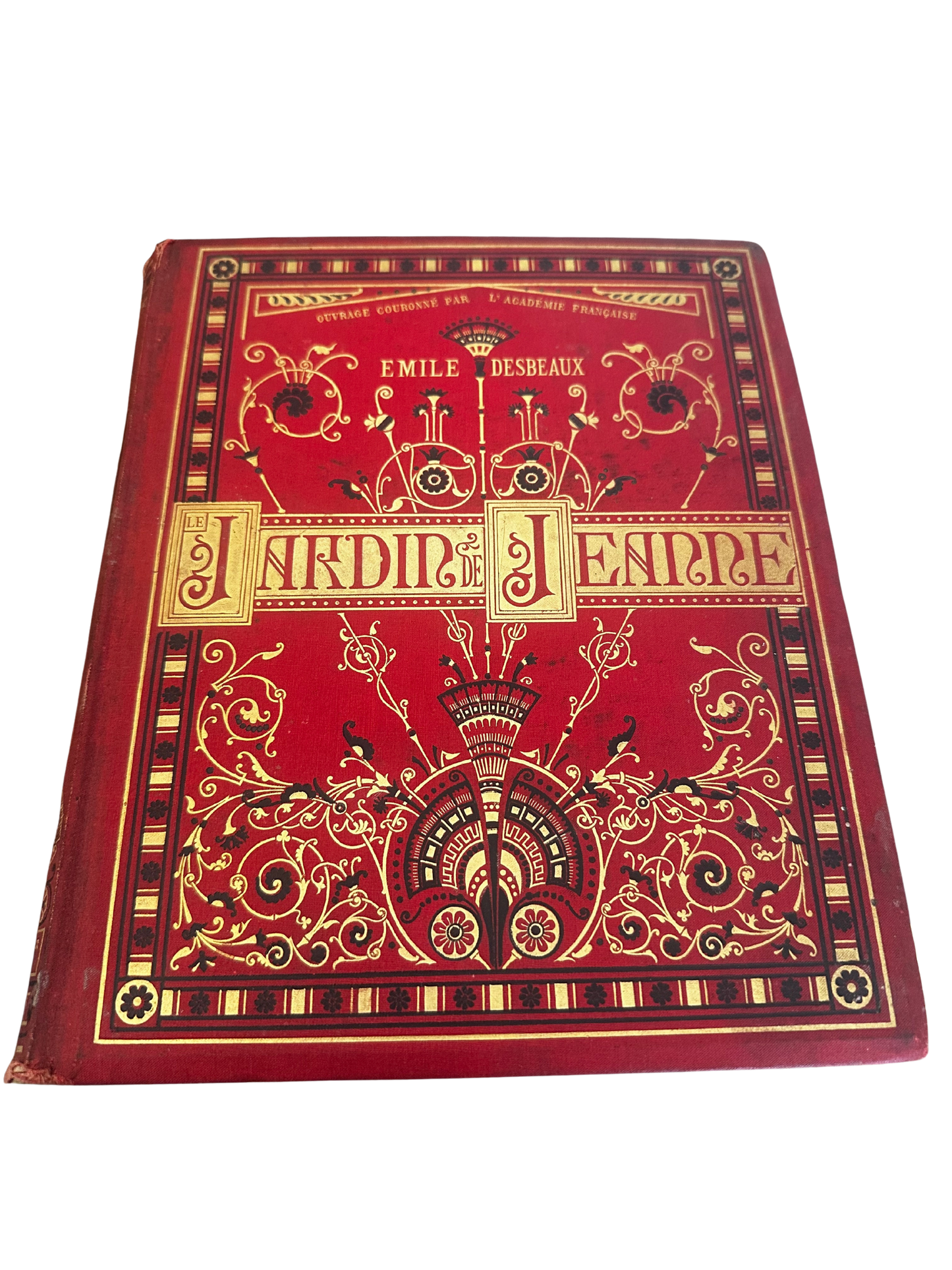 19th C Illustrated French Red Cartonnage Book on Botany by Emile Desbeau (1836-1906) / Published in 1883