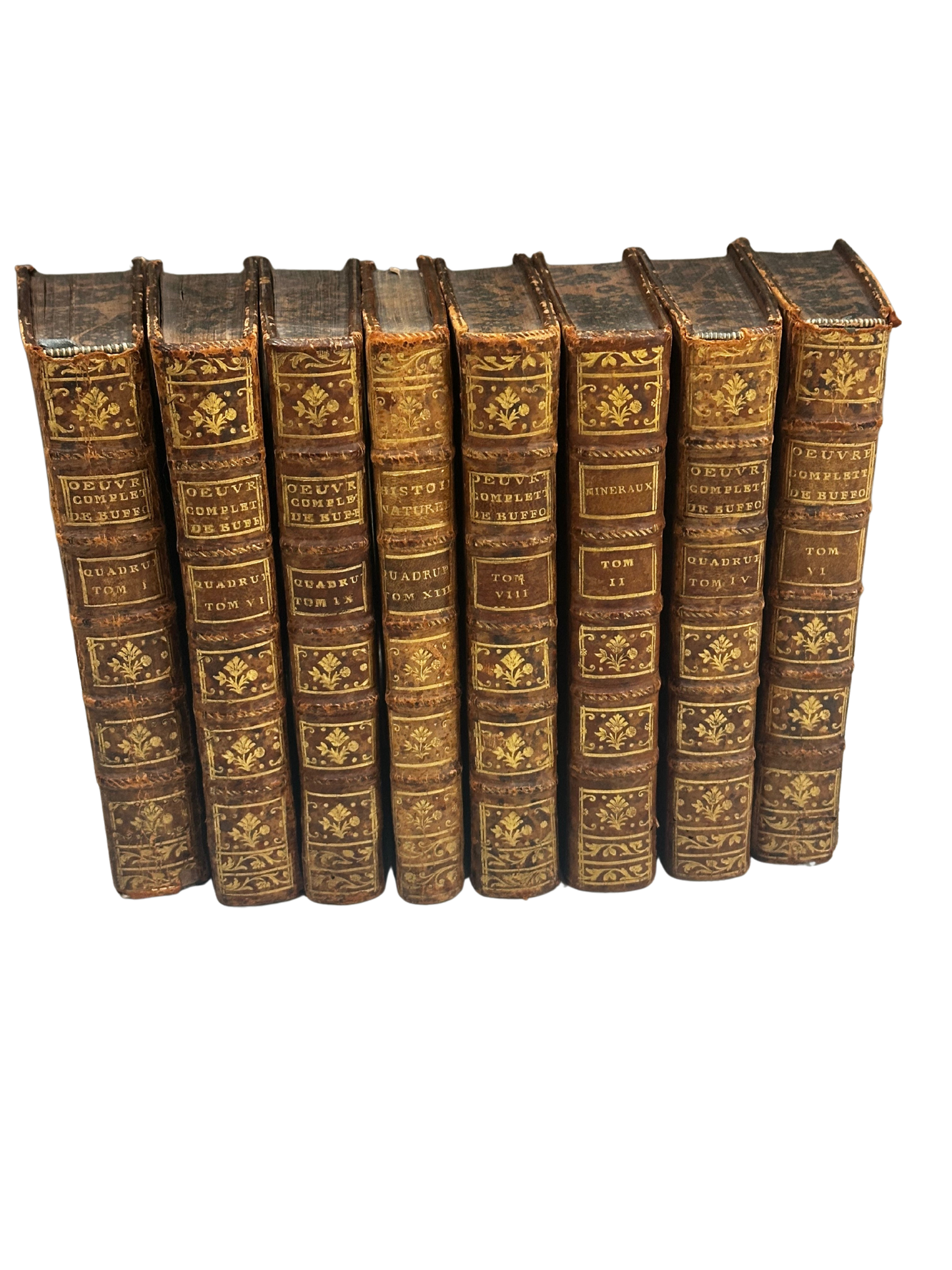 8 Volume Partial Set of Works by Georges-Louis Leclerc, Comte de Buffon (Quadrupeds, Mineralogy, General Theory)