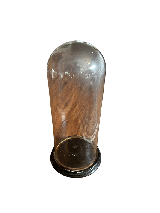 19th C Glass Cloche Dome on Wood Base