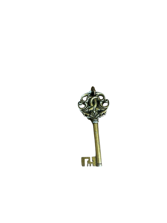 Vintage Ornate Gold and Silver Key