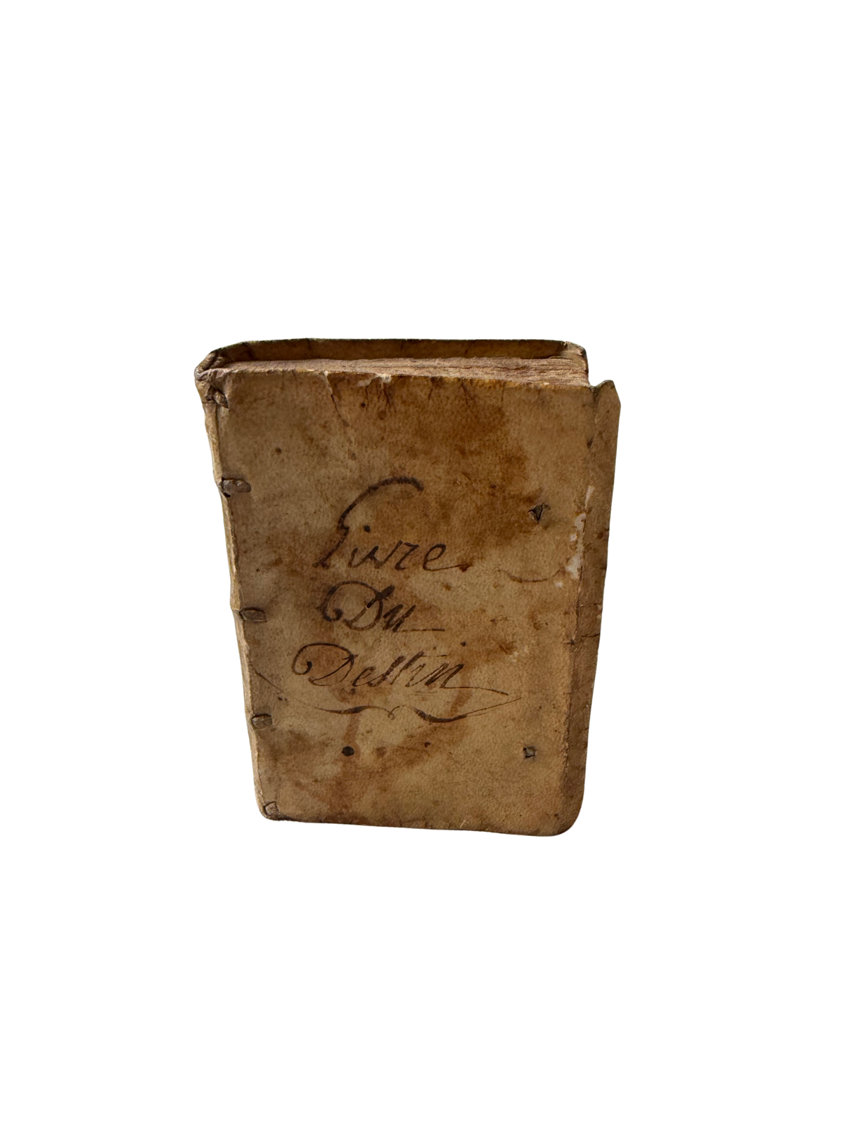 1556 Latin Theological Book in Period Vellum – Arnoldus Vesaliensis, Lyon