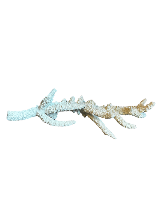 White Single Branch Coral (Thick)