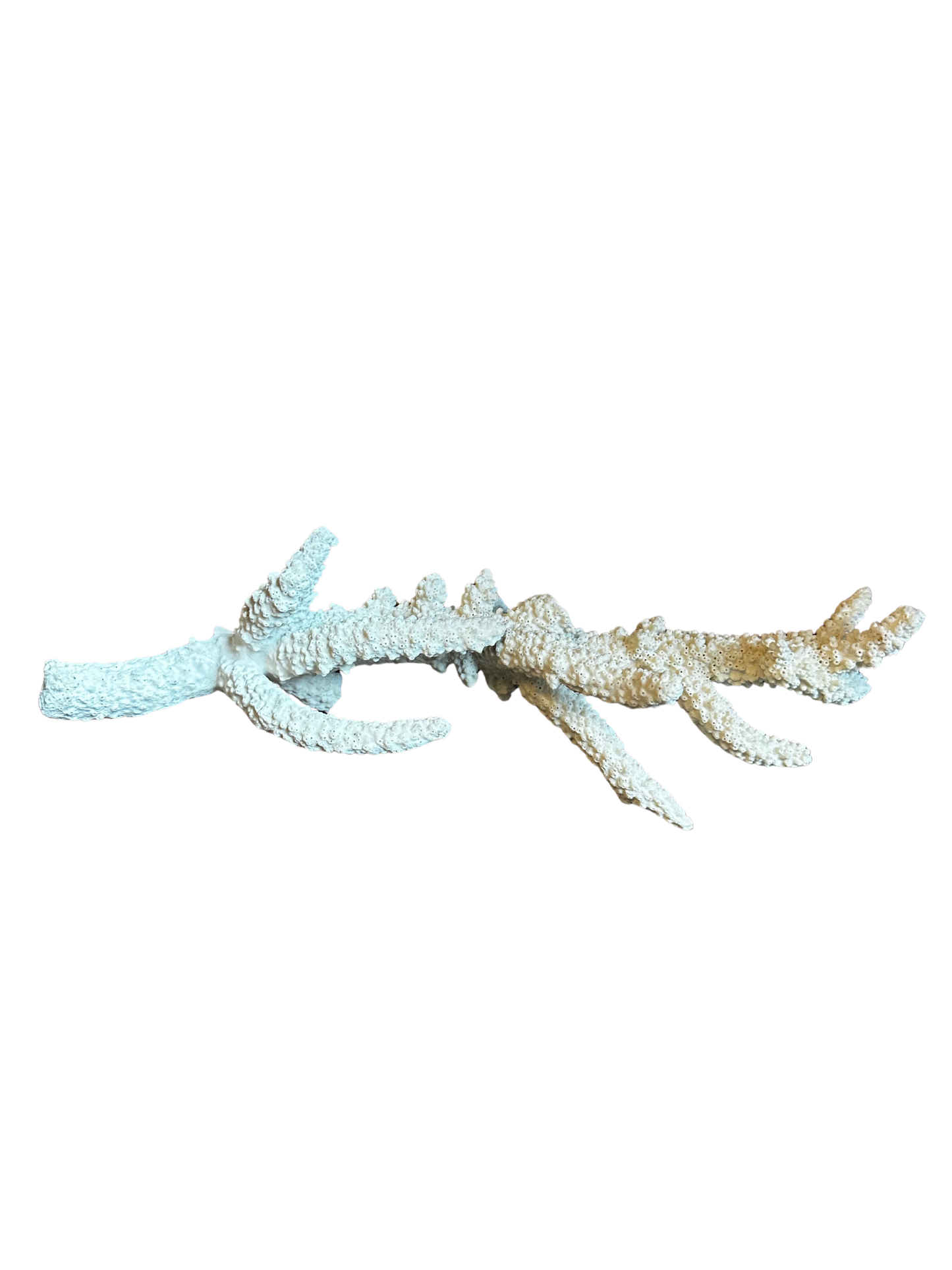 White Single Branch Coral (Thick)