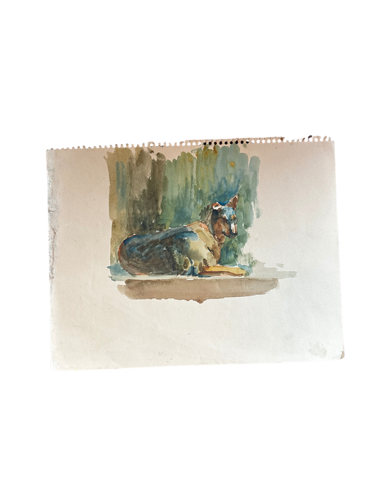 Mid Century Watercolor of Dog