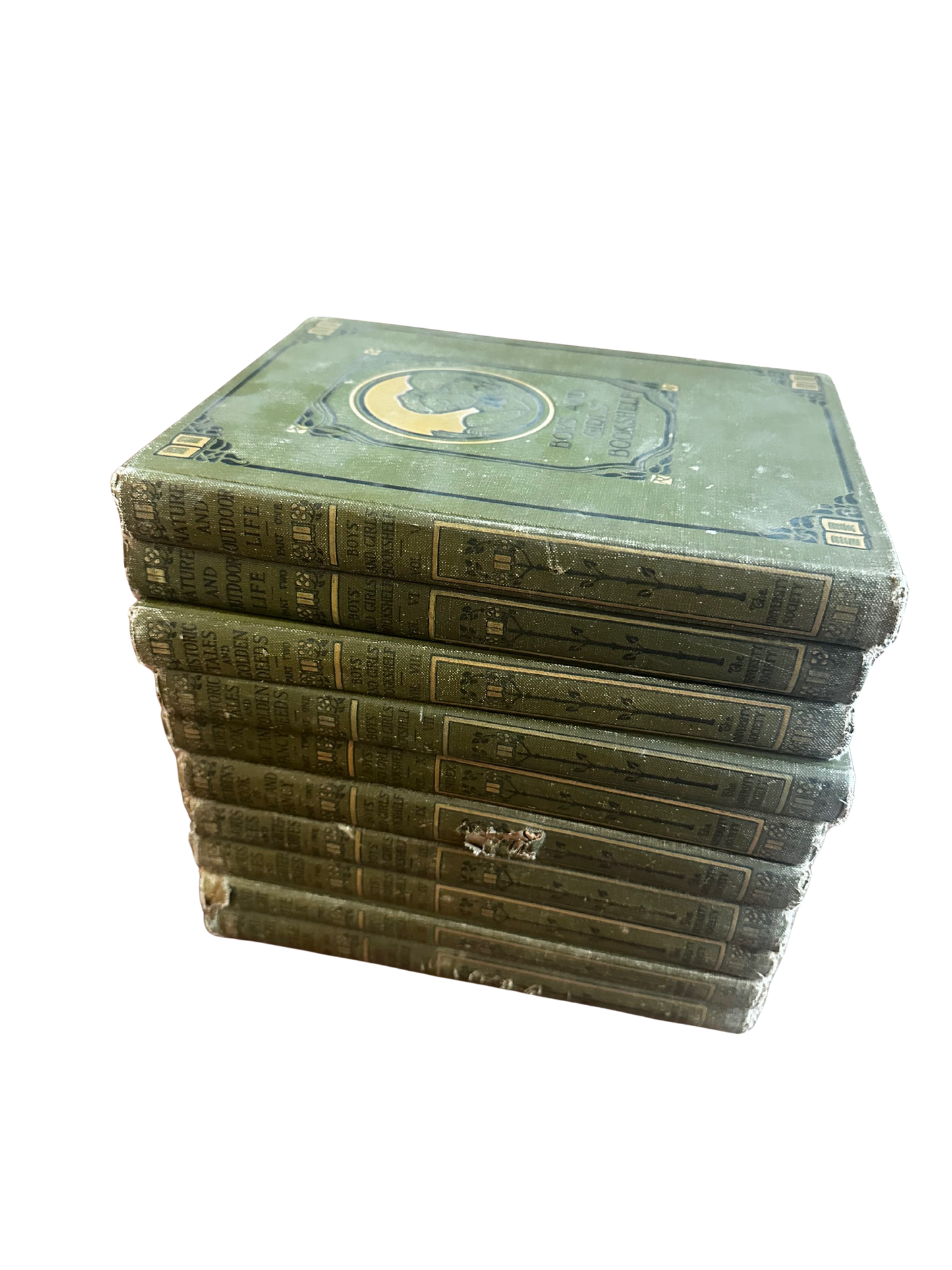 10 Volumes of Boy and Girl Bookshelves Books