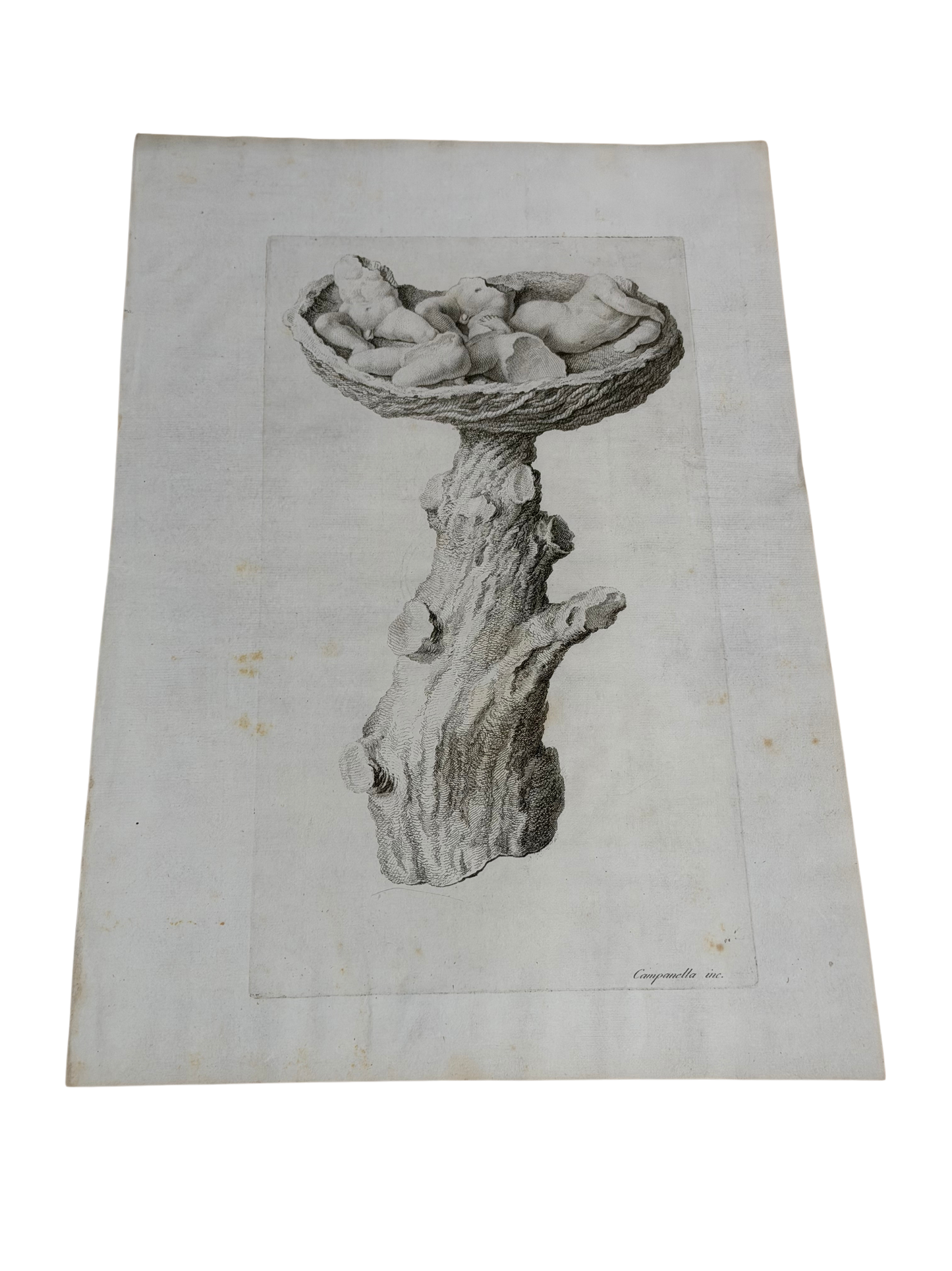 18th C Engraving - Campanella - The Nest