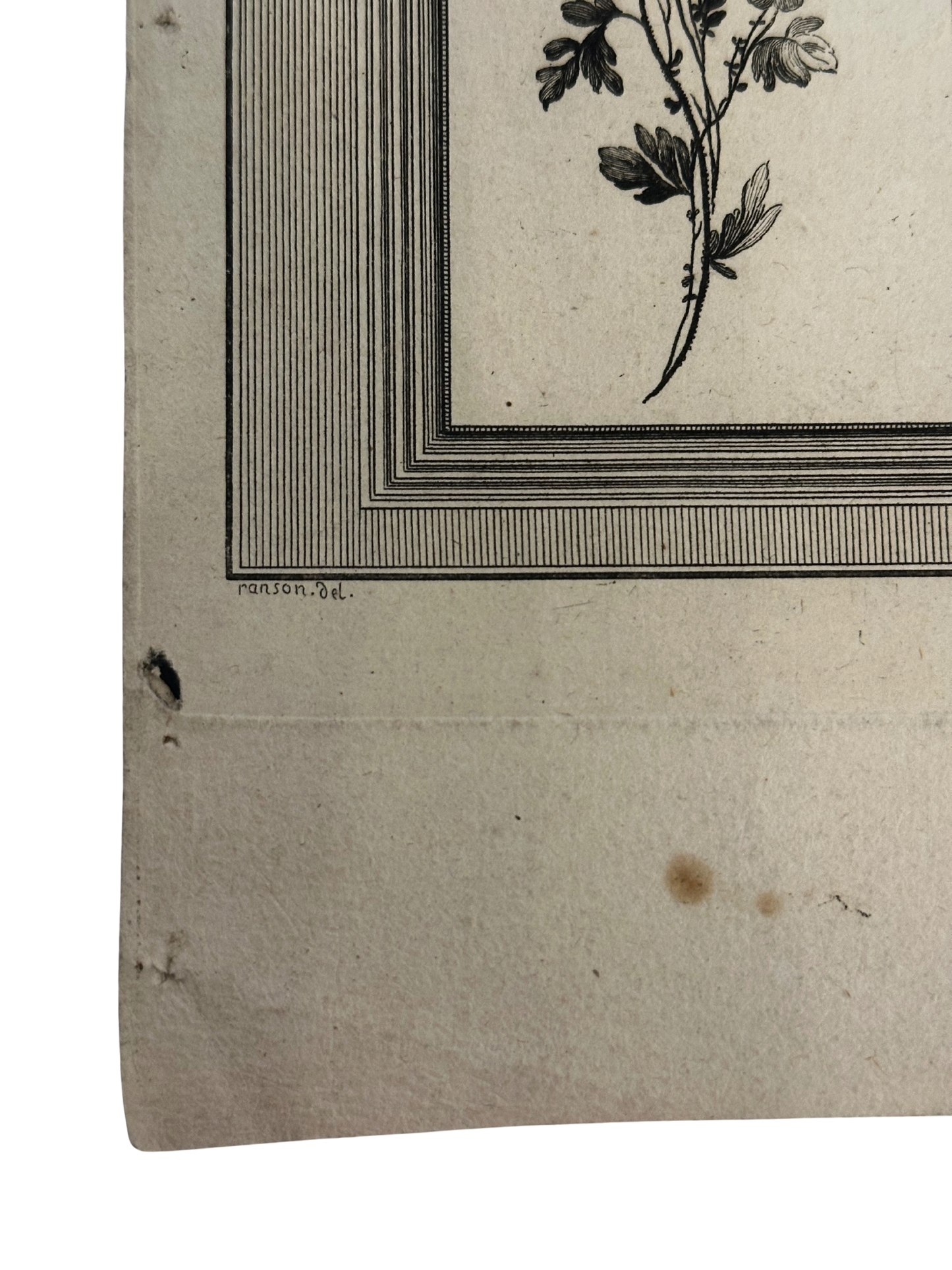 18th-Century French Ornamental Engraving Plate with Floral and Garden Trophy Panels
