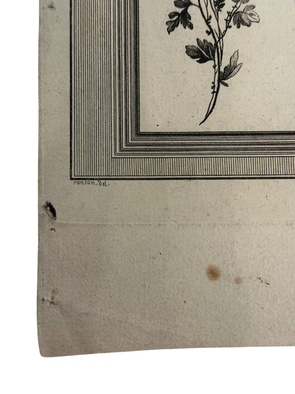 18th-Century French Ornamental Engraving Plate with Floral and Garden Trophy Panels