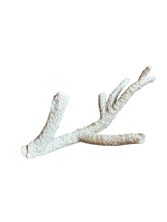 White Single Branch Coral (Thin)