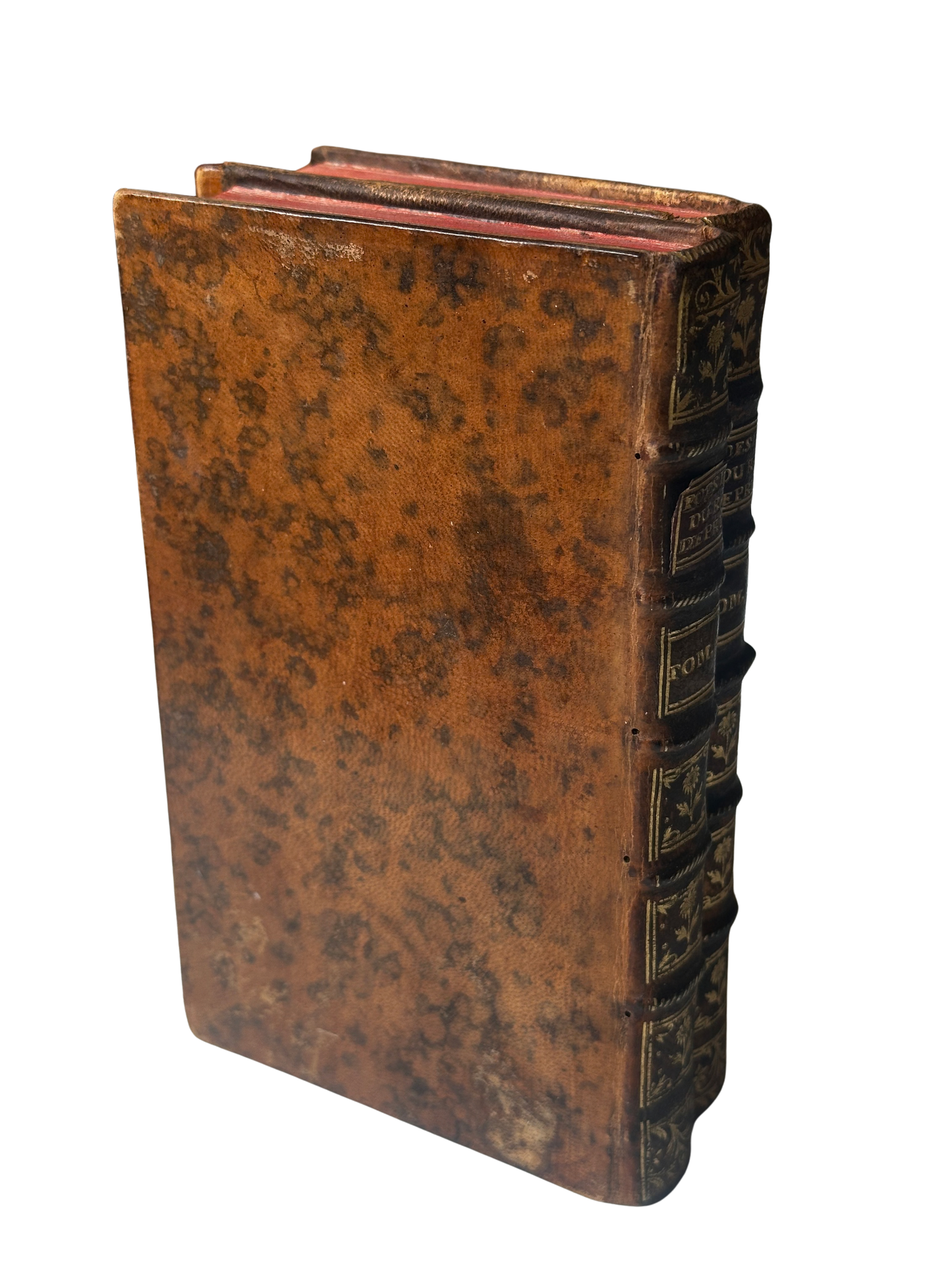 Set of 2 Antique Book Set of Poesias Depru (Complete)