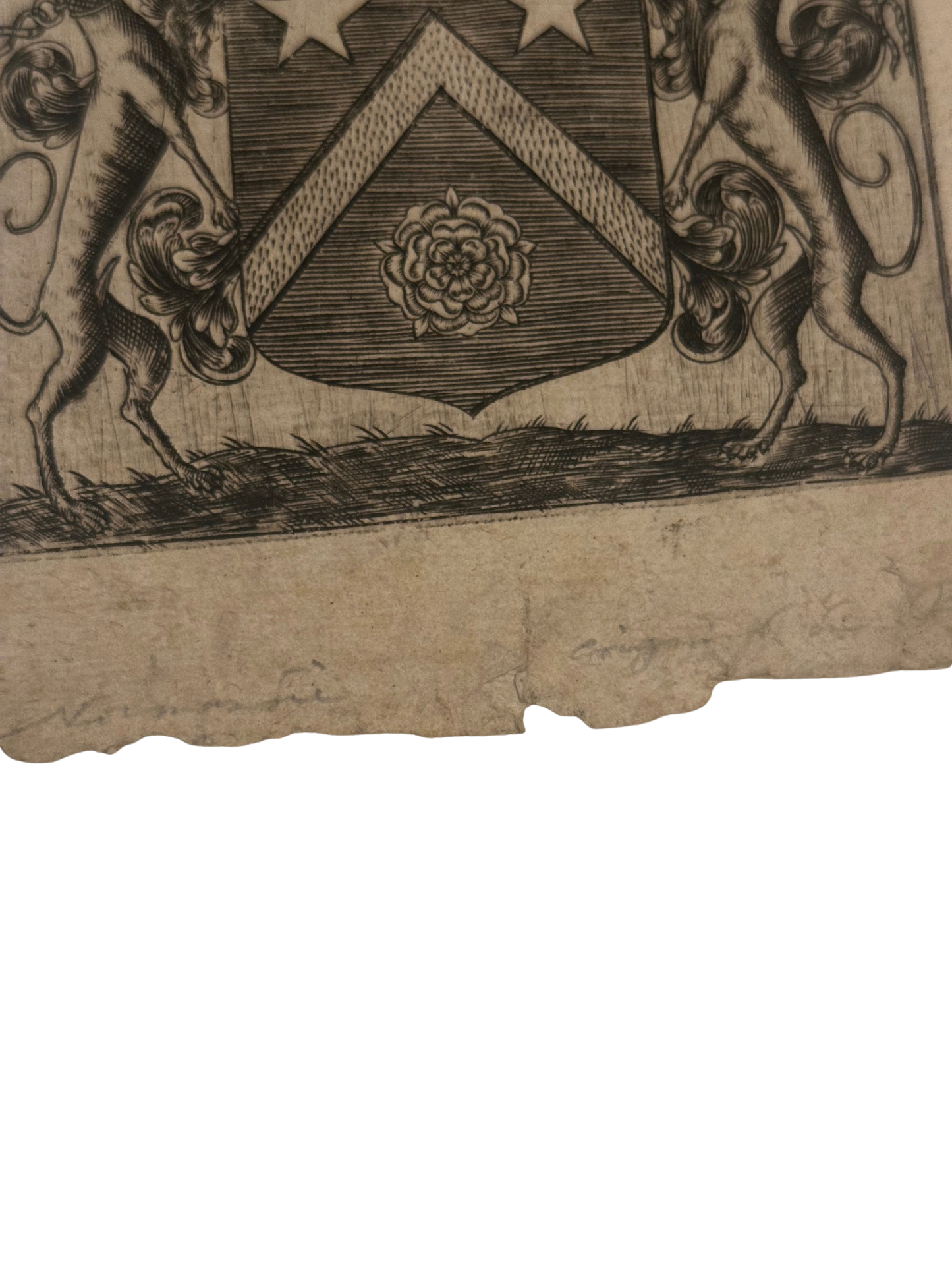 Antique Heraldic Ex Libris Bookplate Engraving with Greyhound Supporters