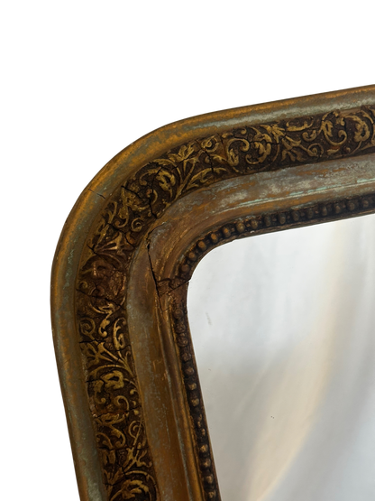 19th-Century French Giltwood Mirror with Carved Foliate Decoration