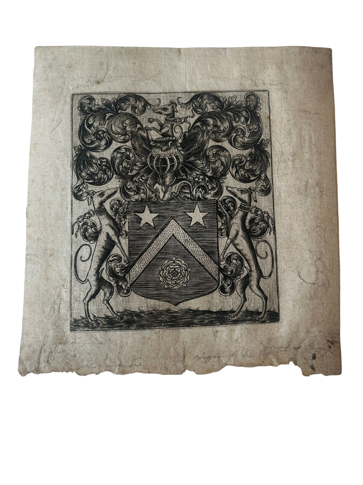 Antique Heraldic Ex Libris Bookplate Engraving with Greyhound Supporters