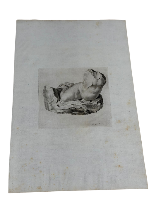 18th C Engraving - Campanella - Torso of Male
