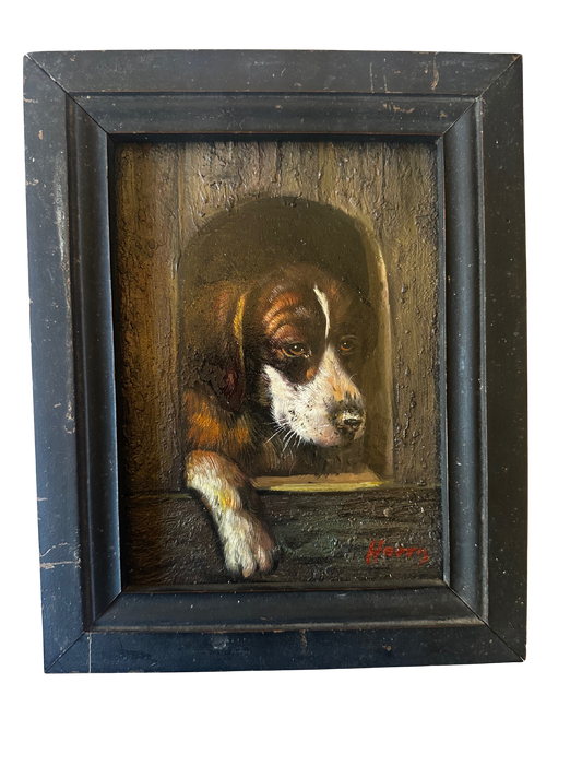 St Bernard Dog Oil Portrait on Board (Signed Harris)
