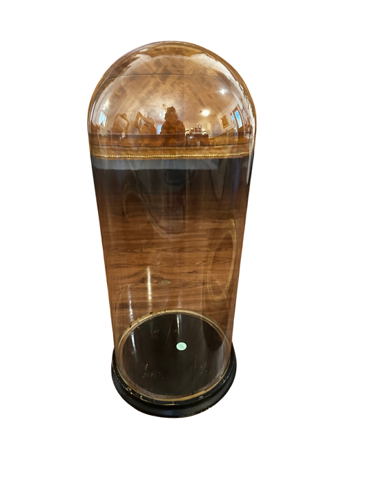 Antique 19th C Tall Cloche