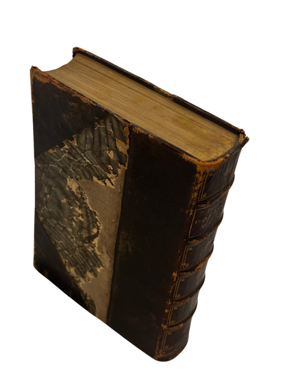 "Pope's Poetical Works" Edited by Adolphus William Ward (Late 19th C)