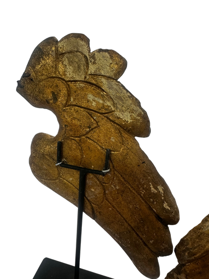 Pair of Antique Carved and Gilded Wooden Wing Fragments