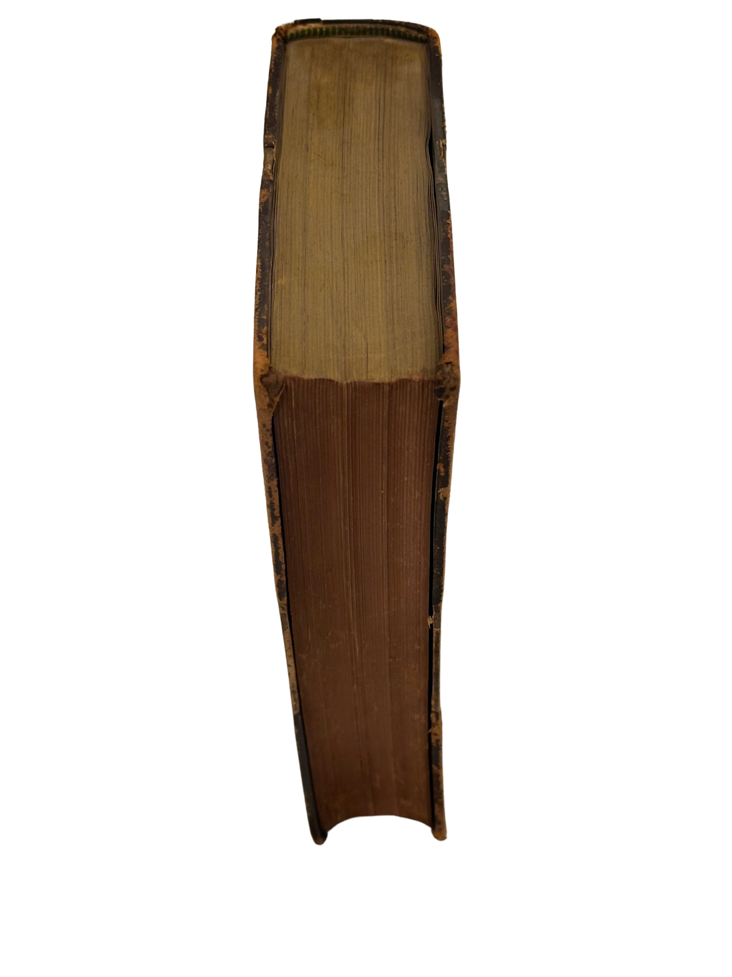 "Pope's Poetical Works" Edited by Adolphus William Ward (Late 19th C)