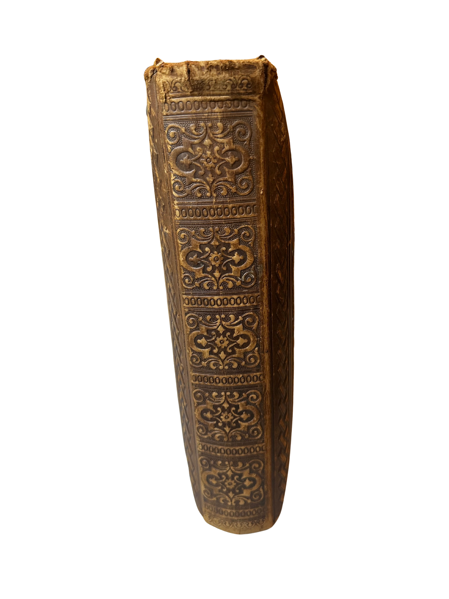 Late Victorian Leather-Bound Photograph Album with Gilt and Blind Tooling and Working Clasp