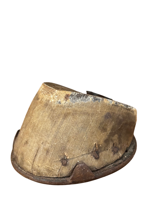 Victorian Preserved Equestrian Hoof with Iron Shoe